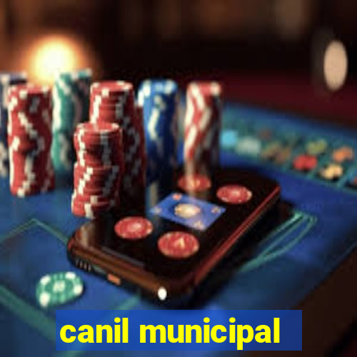 canil municipal